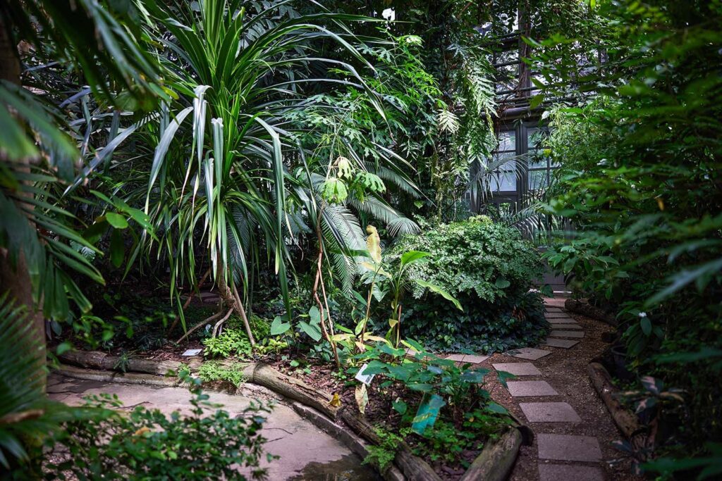 Фото 136 — В Дели открылся новый ботанический сад