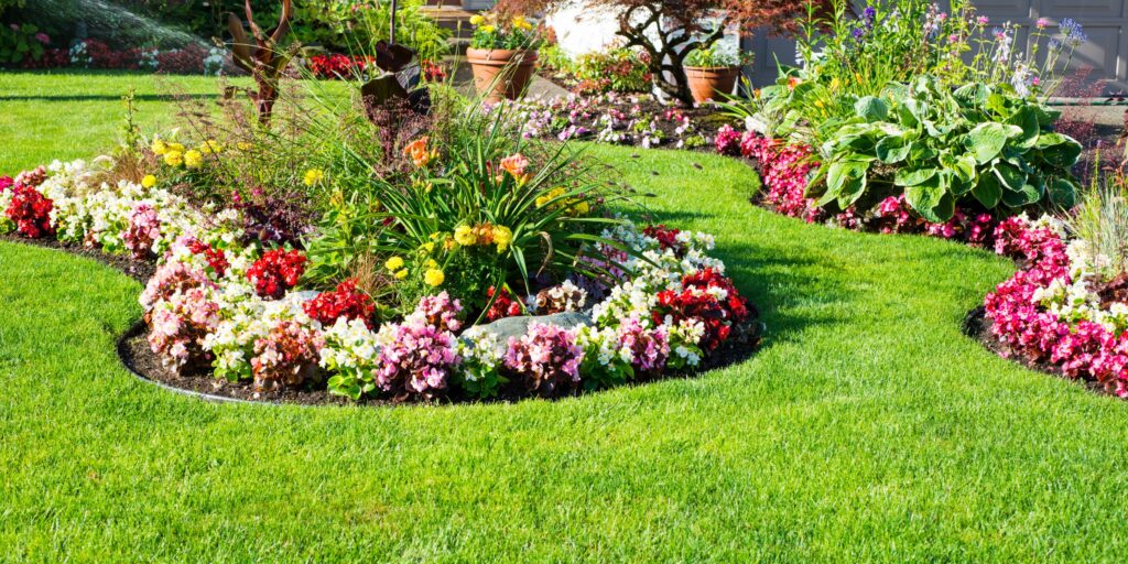 Фото 115 — Дели украсили новые цветочные клумбы